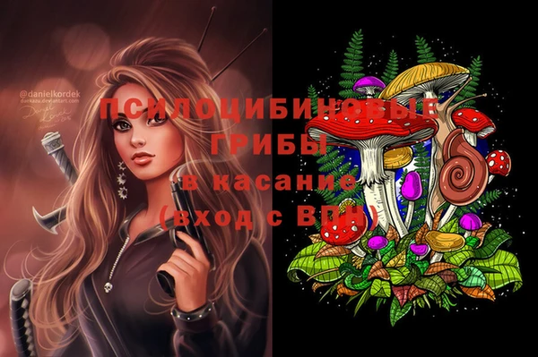 spice Аркадак