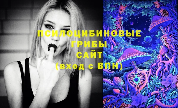 первитин Нязепетровск