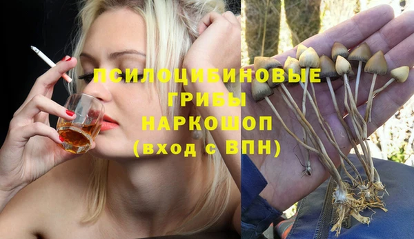 PSILOCYBIN Армянск