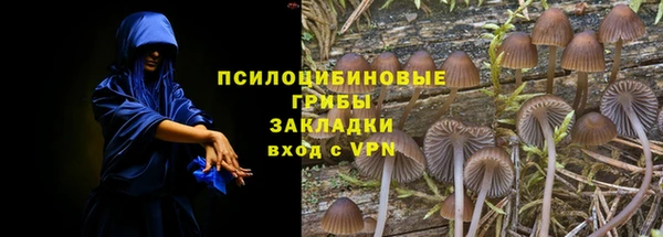 PSILOCYBIN Армянск